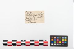 Etiketten zu Bronzemehrkopfnadel (NHMW-PRAE-023880)